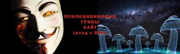 соль курить ск Козловка