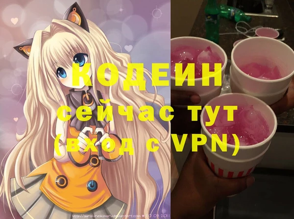 сатива Корсаков