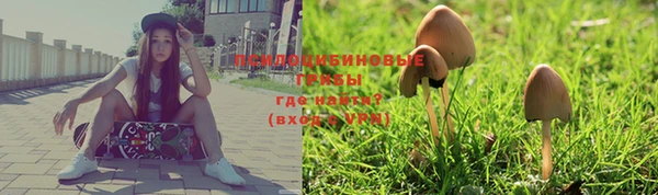 spice Киреевск