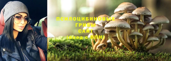 spice Киреевск