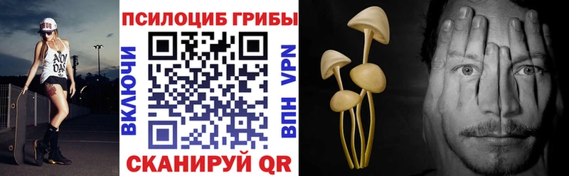 цены наркотик  Ленск  Псилоцибиновые грибы мухоморы 